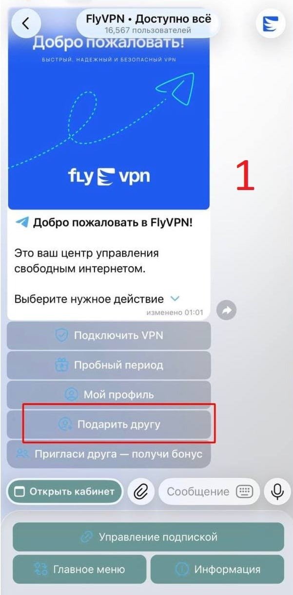 Кнопка «Подарить другу» в меню бота FlyVPN
